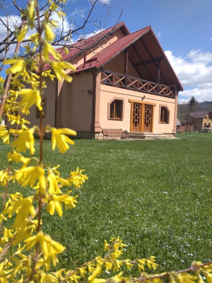 Vila Затишок В Карпатах Jaremče Exteriér fotografie